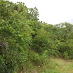 First image of Windover, Sligoville in Sligoville, St. Catherine, Jamaica - property is For Sale
