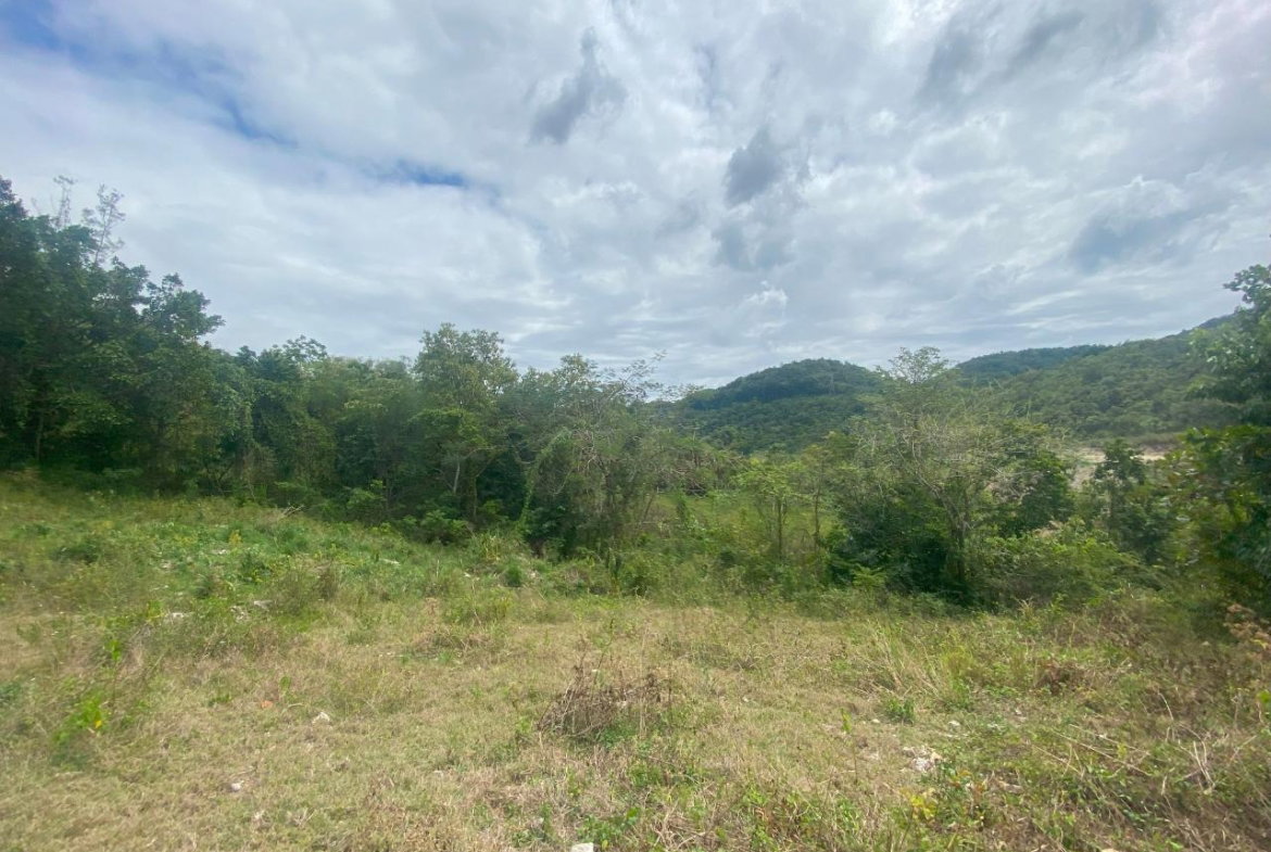 Eleventh image of 1 Childermas, Anchovy in Anchovy, St. James, Jamaica - property is For Sale