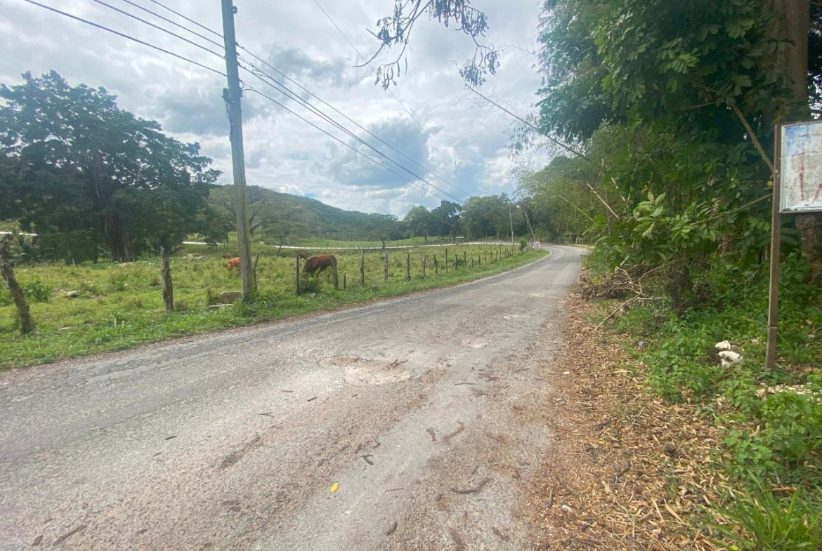 First image of 1 Childermas, Anchovy in Anchovy, St. James, Jamaica - property is For Sale