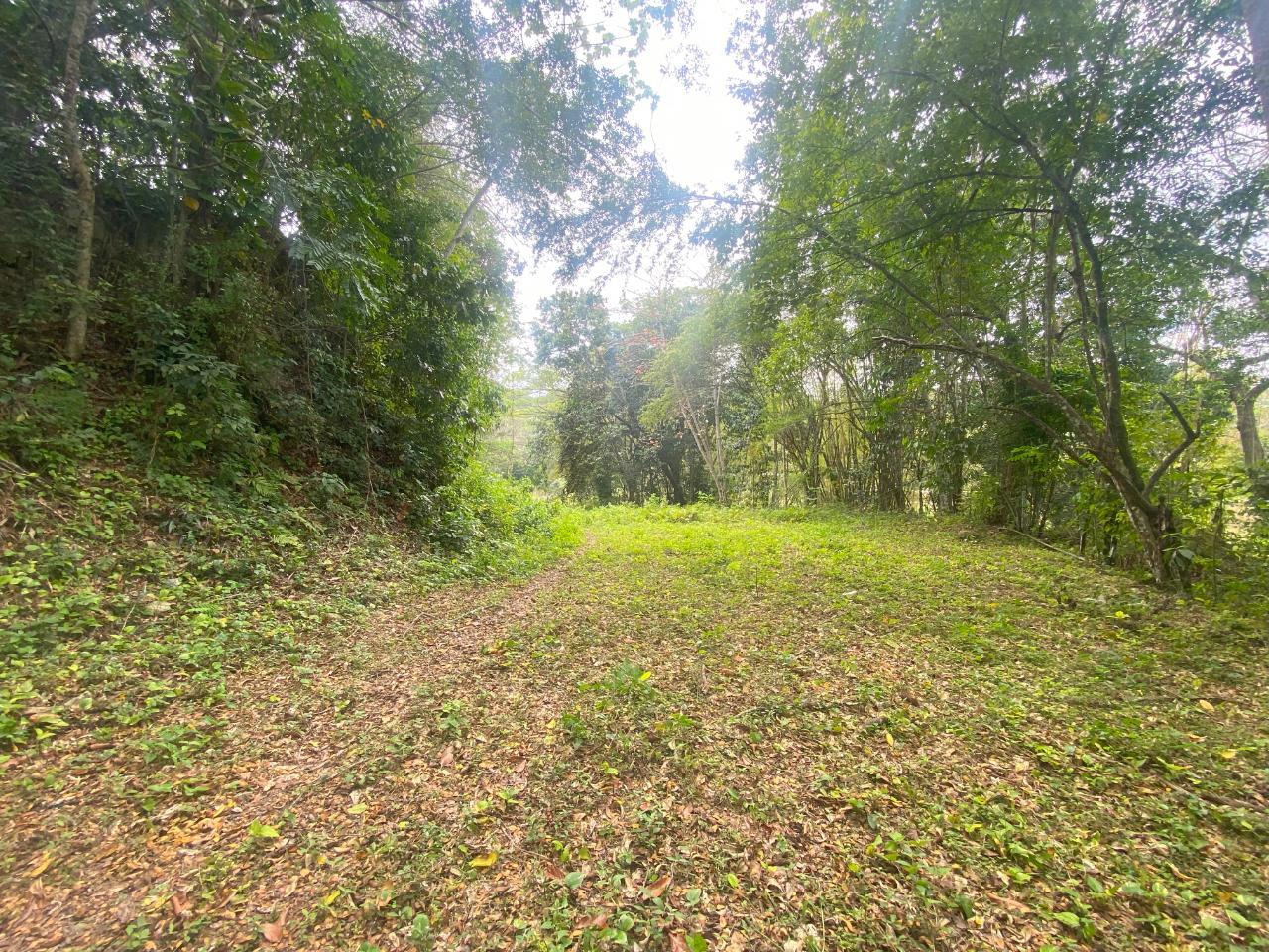 5.36-Acre-Prime-Development-Land-for-Sale-in-Anchovy-Jamaica Fifteenth image of 1 Childermas, Anchovy in Anchovy, St. James, Jamaica - property is For Sale