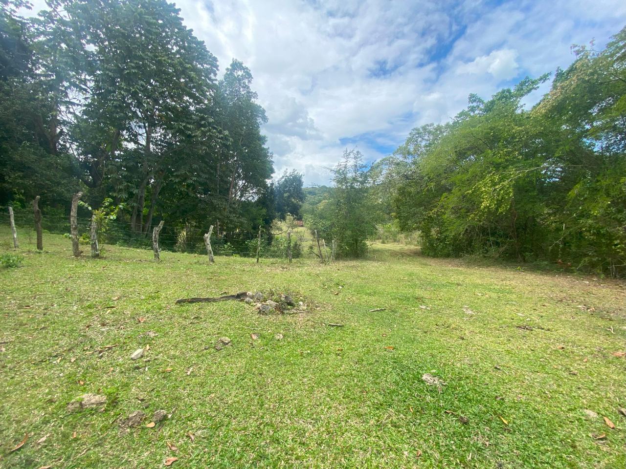 5.36-Acre-Prime-Development-Land-for-Sale-in-Anchovy-Jamaica Seventeenth image of 1 Childermas, Anchovy in Anchovy, St. James, Jamaica - property is For Sale