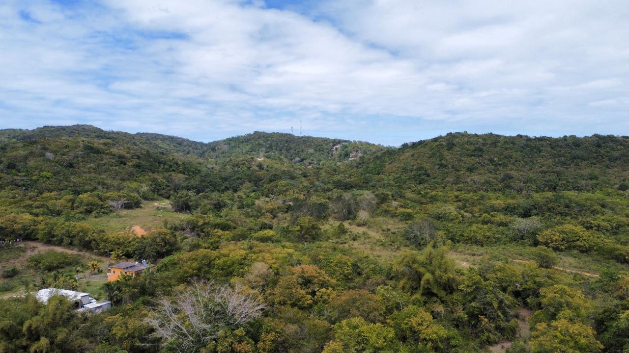 5.36-Acre-Prime-Development-Land-for-Sale-in-Anchovy-Jamaica Nineteenth image of 1 Childermas, Anchovy in Anchovy, St. James, Jamaica - property is For Sale