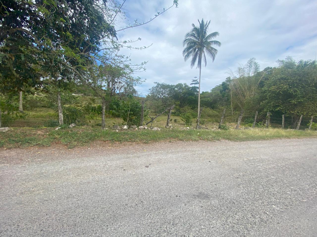 5.36-Acre-Prime-Development-Land-for-Sale-in-Anchovy-Jamaica Third image of 1 Childermas, Anchovy in Anchovy, St. James, Jamaica - property is For Sale