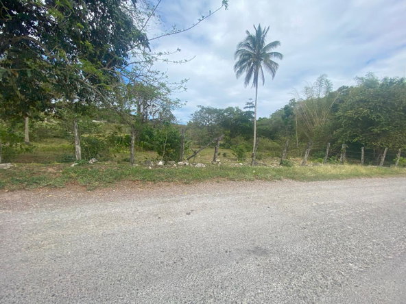 Seventh image of 1 Childermas, Anchovy in Anchovy, St. James, Jamaica - property is For Sale