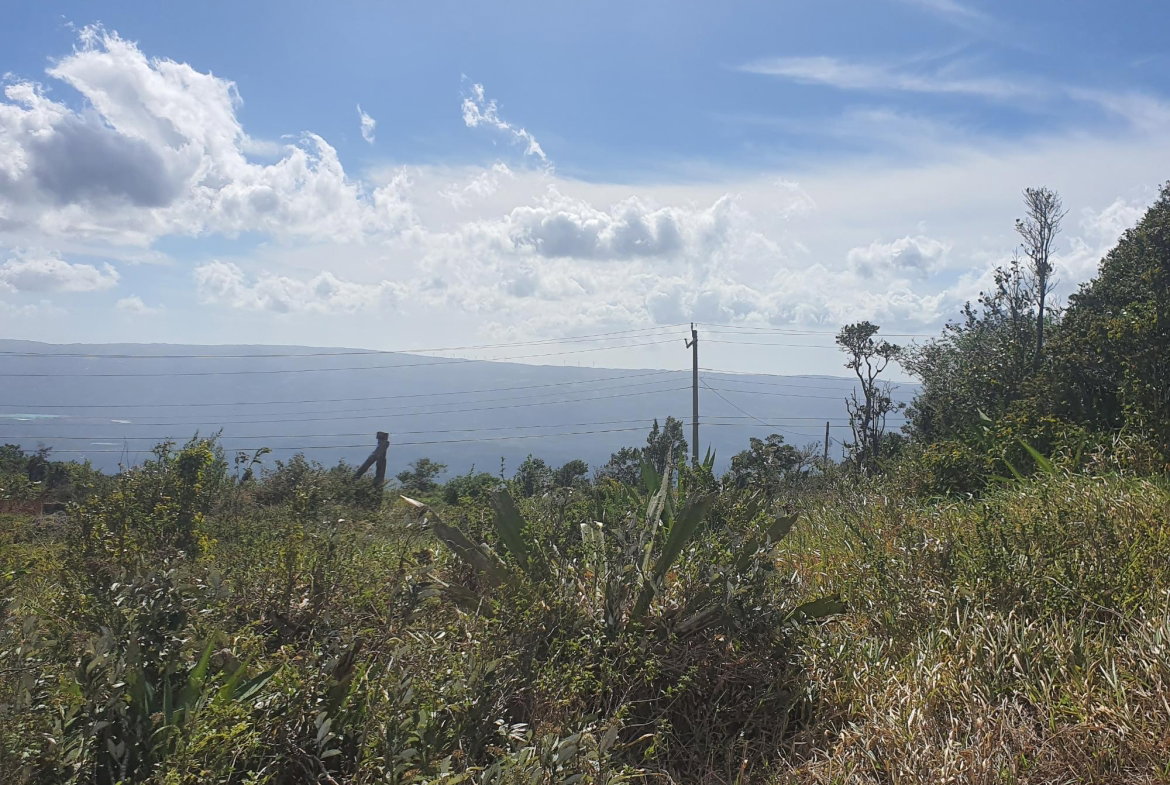 Thirteenth image of Chatam, Lincoln P.o Mache in Lincoln, Manchester, Jamaica - property is For Sale