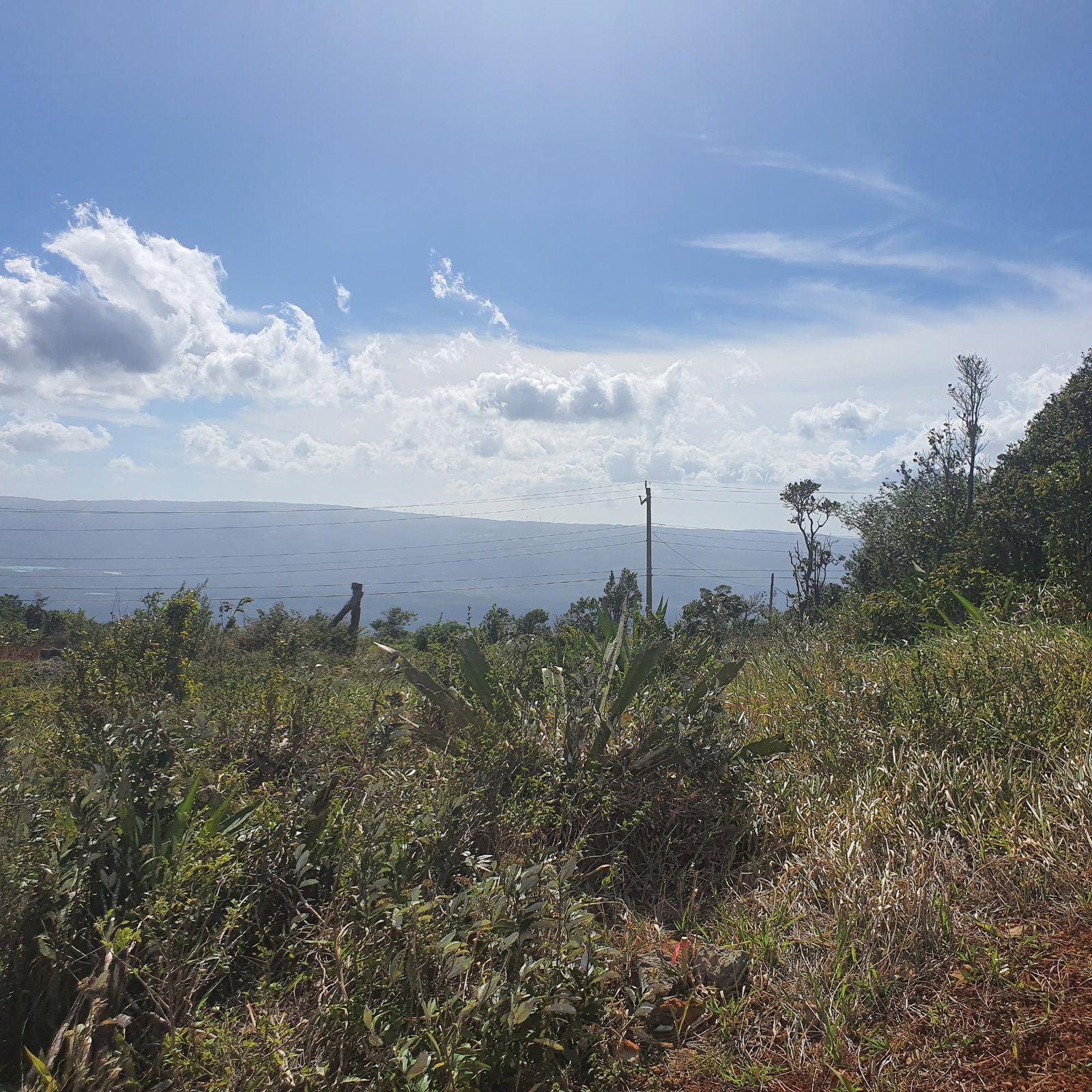 Thirteenth image of Chatam, Lincoln P.o Mache in Lincoln, Manchester, Jamaica - property is For Sale