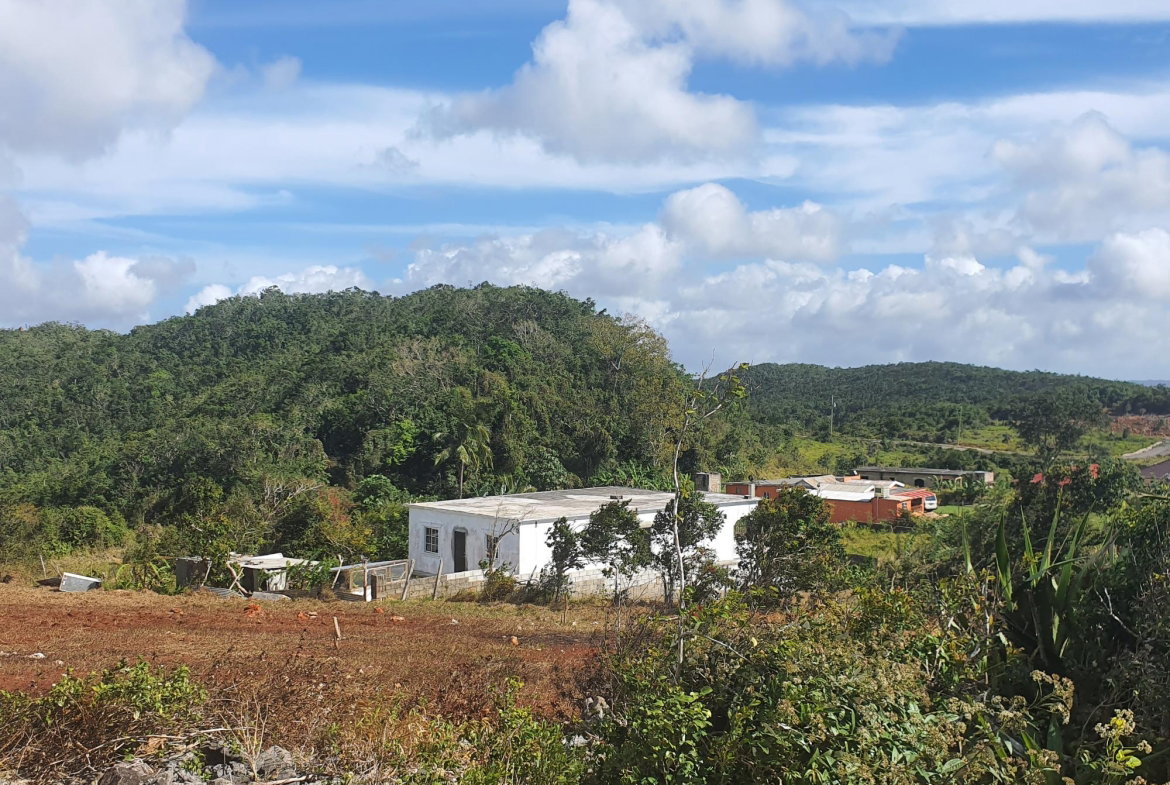 Fourteenth image of Chatam, Lincoln P.o Mache in Lincoln, Manchester, Jamaica - property is For Sale