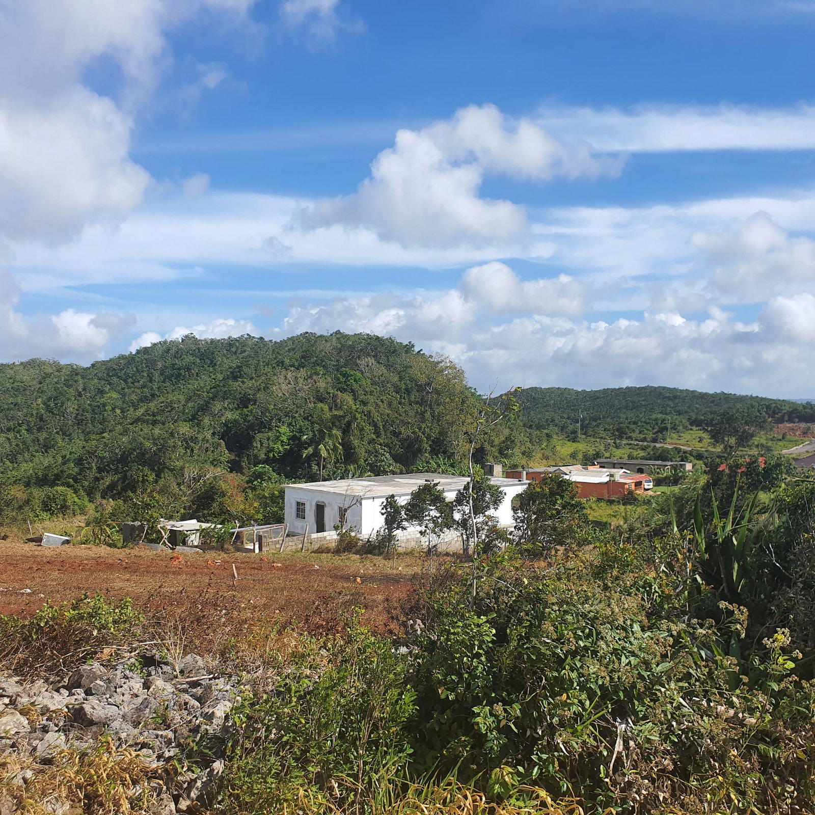 Fourteenth image of Chatam, Lincoln P.o Mache in Lincoln, Manchester, Jamaica - property is For Sale