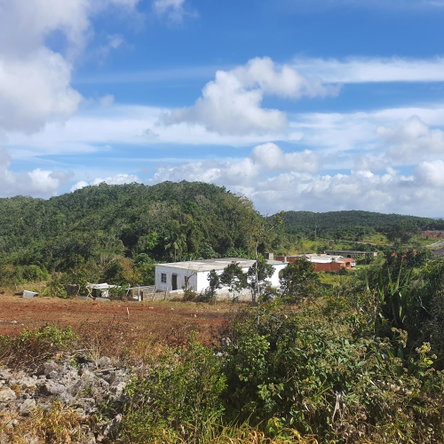 Fourteenth image of Chatam, Lincoln P.o Mache in Lincoln, Manchester, Jamaica - property is For Sale
