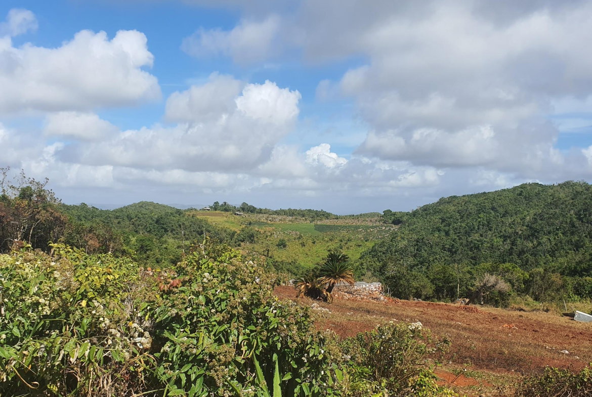 Fifteenth image of Chatam, Lincoln P.o Mache in Lincoln, Manchester, Jamaica - property is For Sale