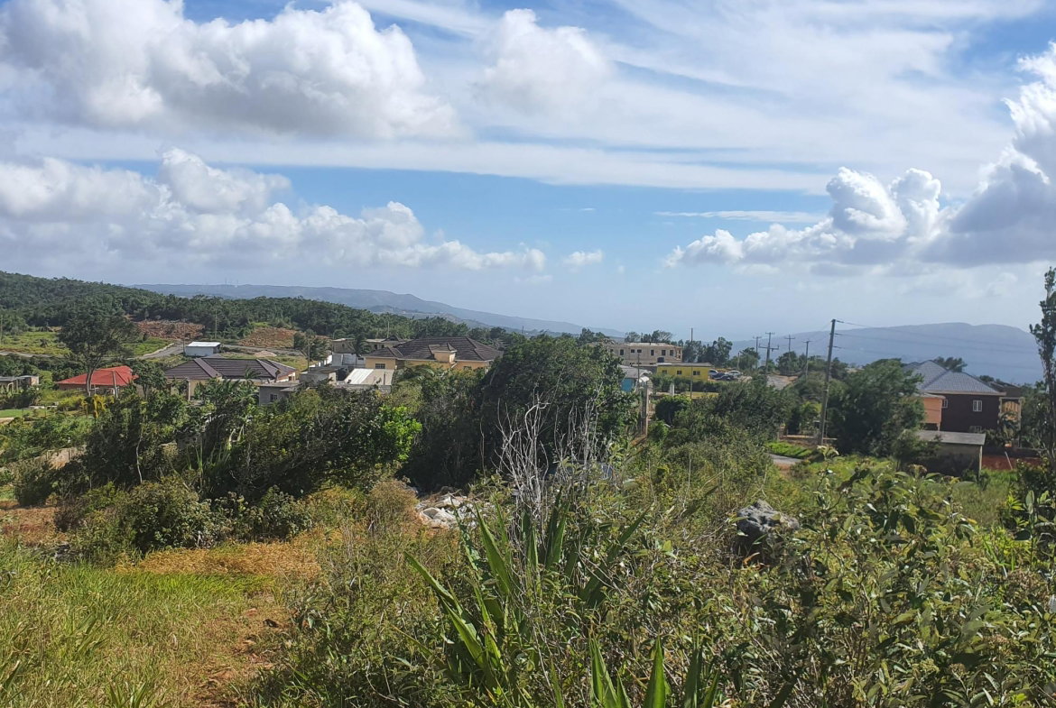 Sixteenth image of Chatam, Lincoln P.o Mache in Lincoln, Manchester, Jamaica - property is For Sale