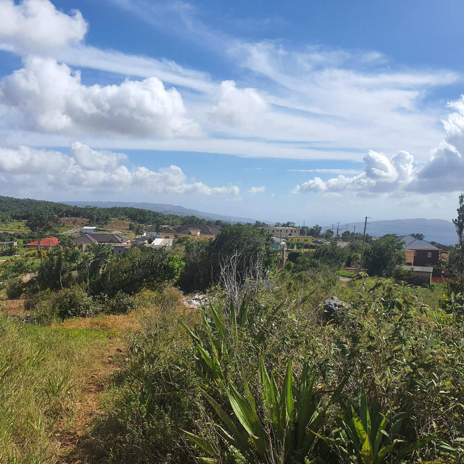 Sixteenth image of Chatam, Lincoln P.o Mache in Lincoln, Manchester, Jamaica - property is For Sale