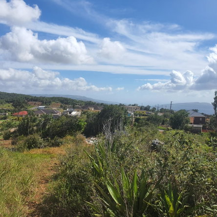 Sixteenth image of Chatam, Lincoln P.o Mache in Lincoln, Manchester, Jamaica - property is For Sale