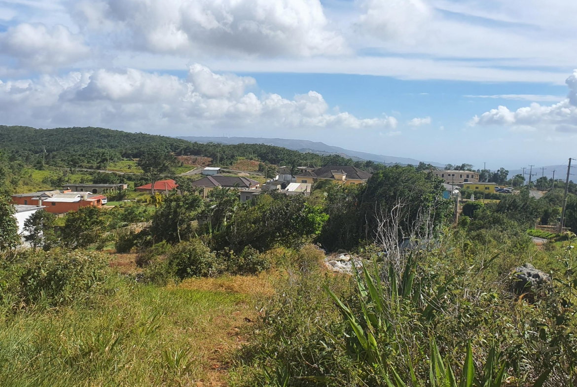 Seventeenth image of Chatam, Lincoln P.o Mache in Lincoln, Manchester, Jamaica - property is For Sale