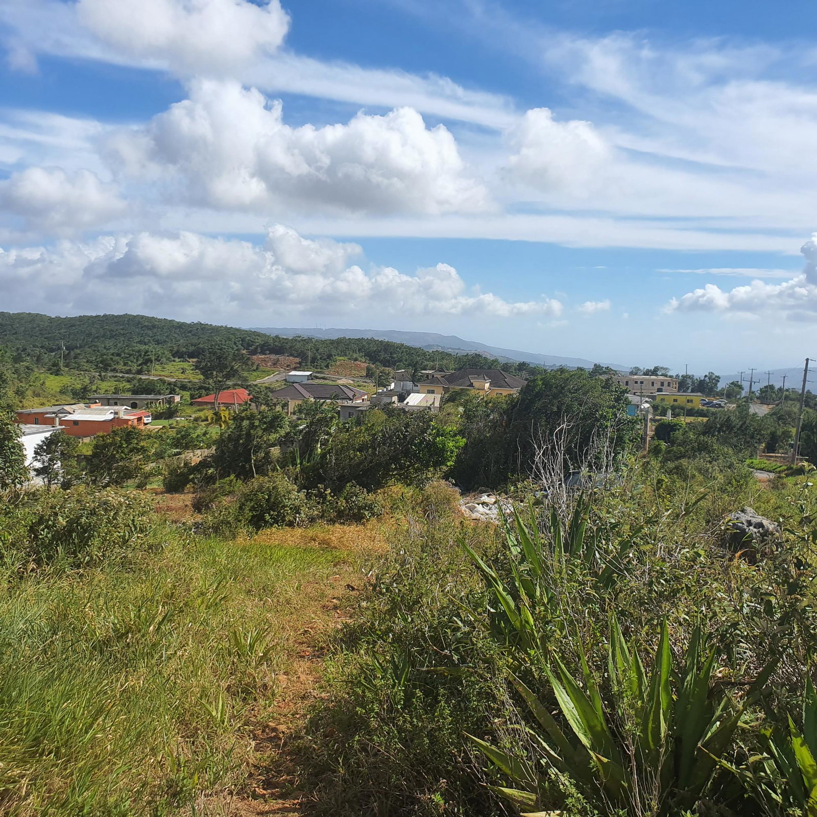 Seventeenth image of Chatam, Lincoln P.o Mache in Lincoln, Manchester, Jamaica - property is For Sale