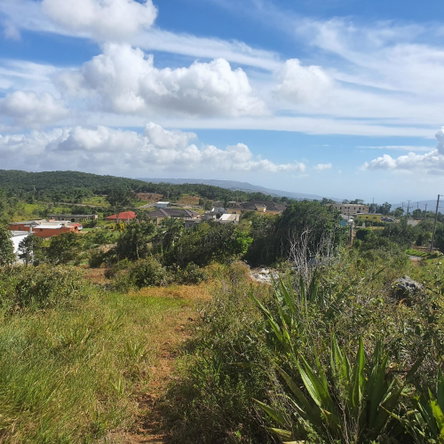 Seventeenth image of Chatam, Lincoln P.o Mache in Lincoln, Manchester, Jamaica - property is For Sale