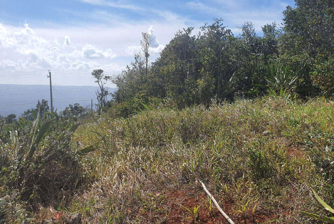 Eighteenth image of Chatam, Lincoln P.o Mache in Lincoln, Manchester, Jamaica - property is For Sale