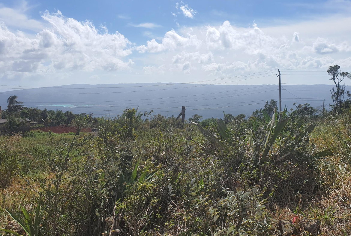 Nineteenth image of Chatam, Lincoln P.o Mache in Lincoln, Manchester, Jamaica - property is For Sale