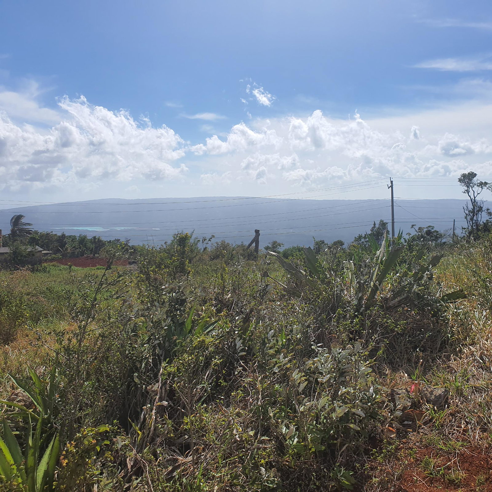 Nineteenth image of Chatam, Lincoln P.o Mache in Lincoln, Manchester, Jamaica - property is For Sale