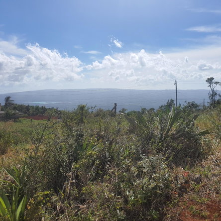 Nineteenth image of Chatam, Lincoln P.o Mache in Lincoln, Manchester, Jamaica - property is For Sale