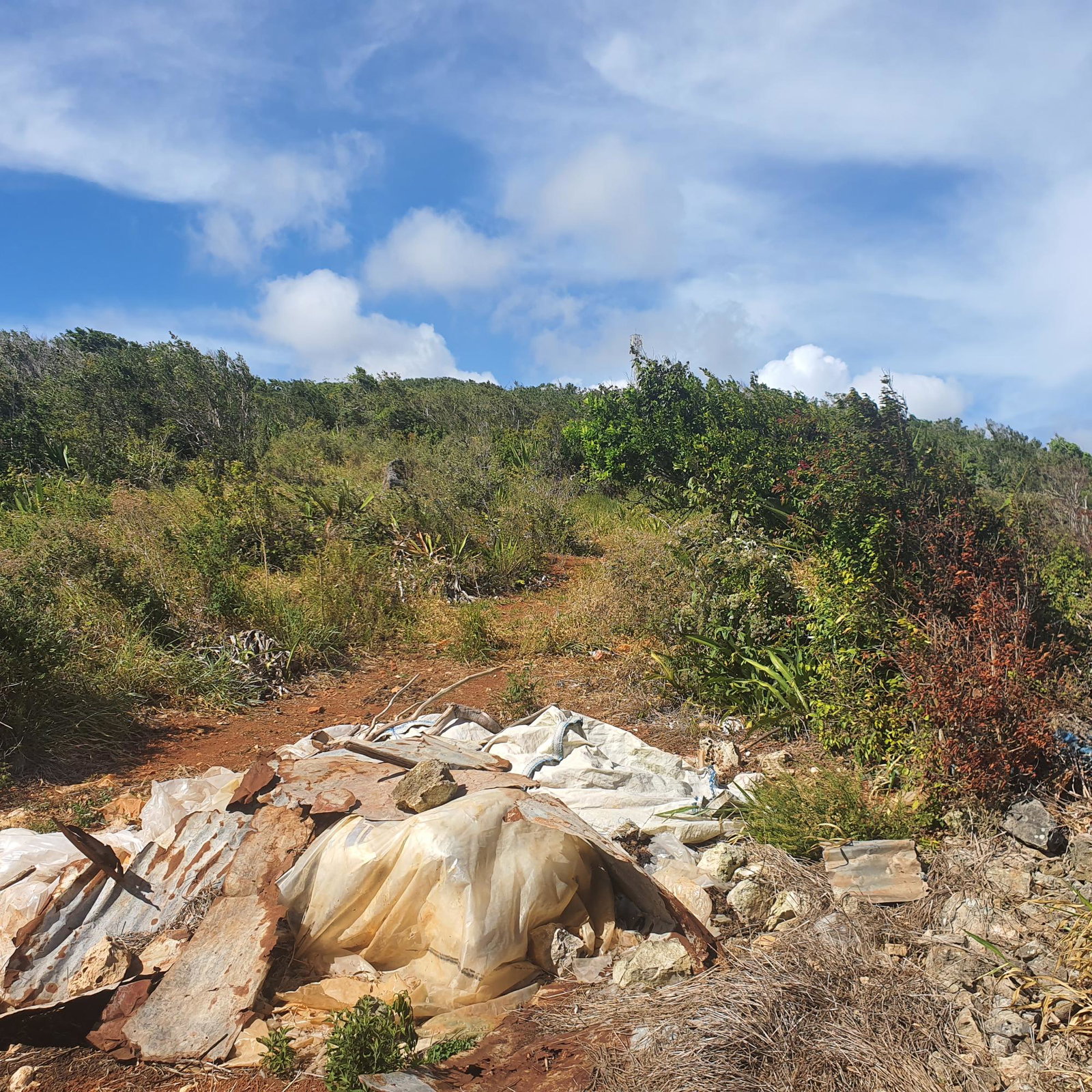 Twenty-Third image of Chatam, Lincoln P.o Mache in Lincoln, Manchester, Jamaica - property is For Sale