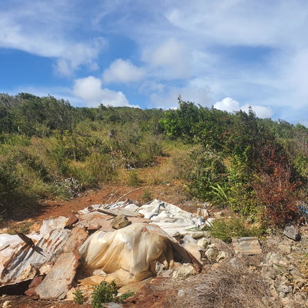 Twenty-Third image of Chatam, Lincoln P.o Mache in Lincoln, Manchester, Jamaica - property is For Sale
