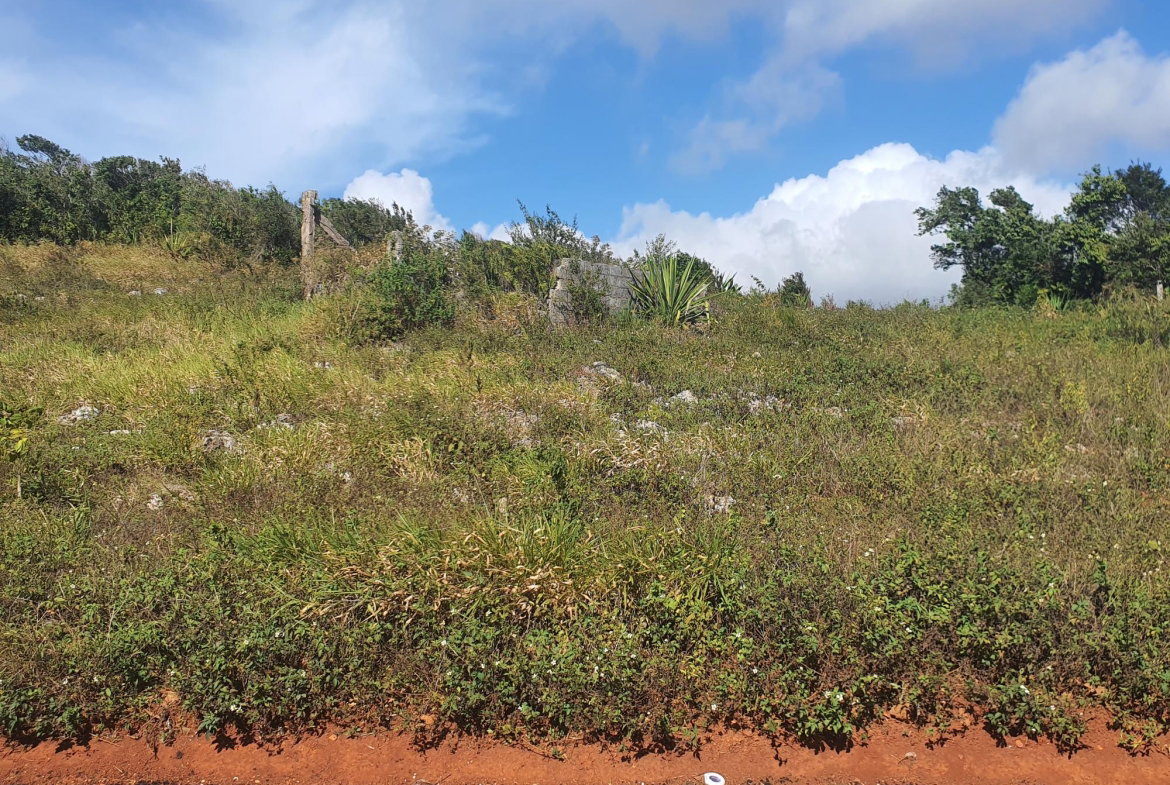 Fifth image of Chatam, Lincoln P.o Mache in Lincoln, Manchester, Jamaica - property is For Sale