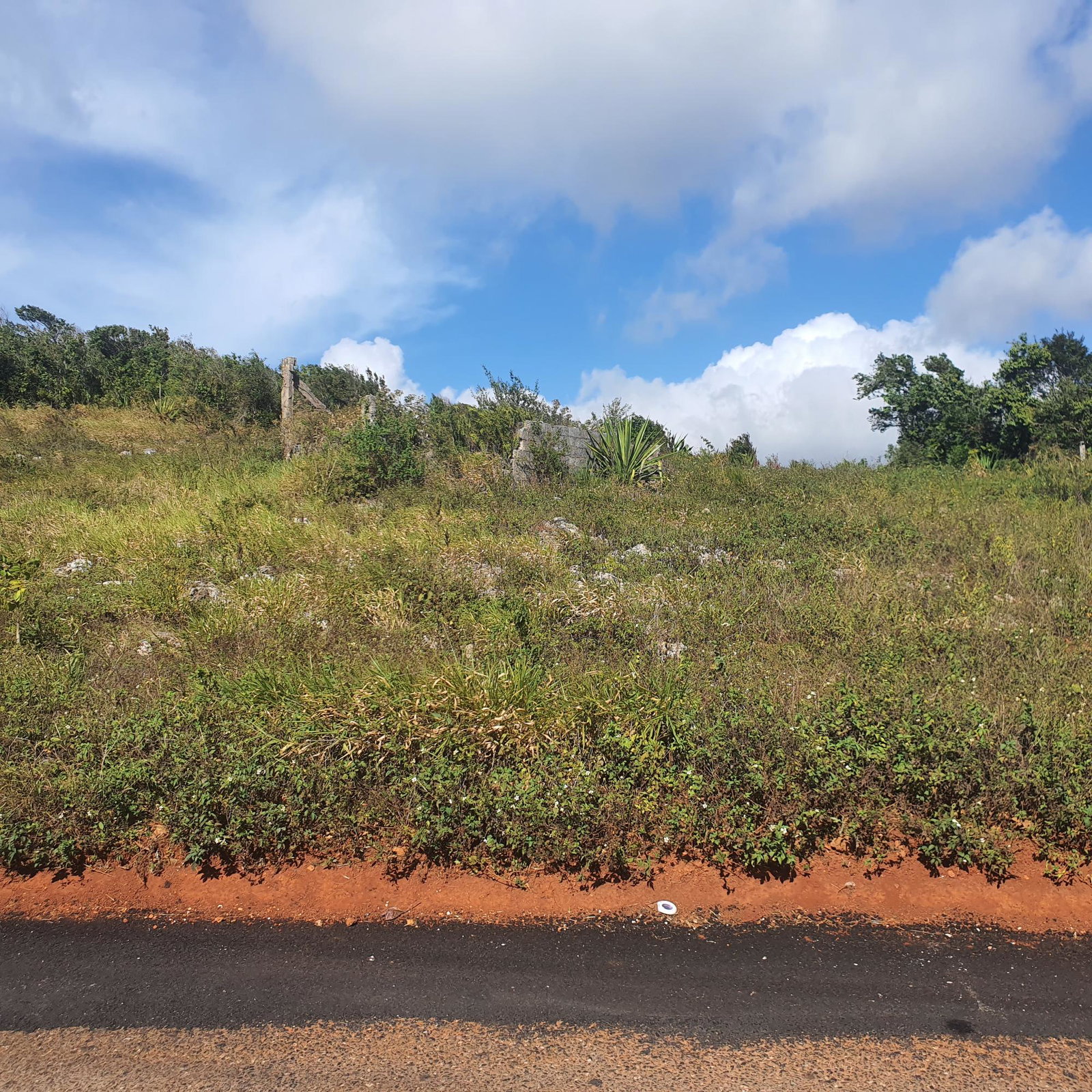Fifth image of Chatam, Lincoln P.o Mache in Lincoln, Manchester, Jamaica - property is For Sale