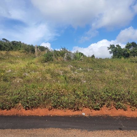 Fifth image of Chatam, Lincoln P.o Mache in Lincoln, Manchester, Jamaica - property is For Sale