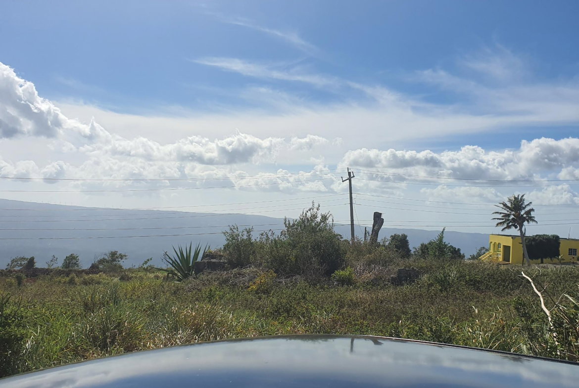 Sixth image of Chatam, Lincoln P.o Mache in Lincoln, Manchester, Jamaica - property is For Sale