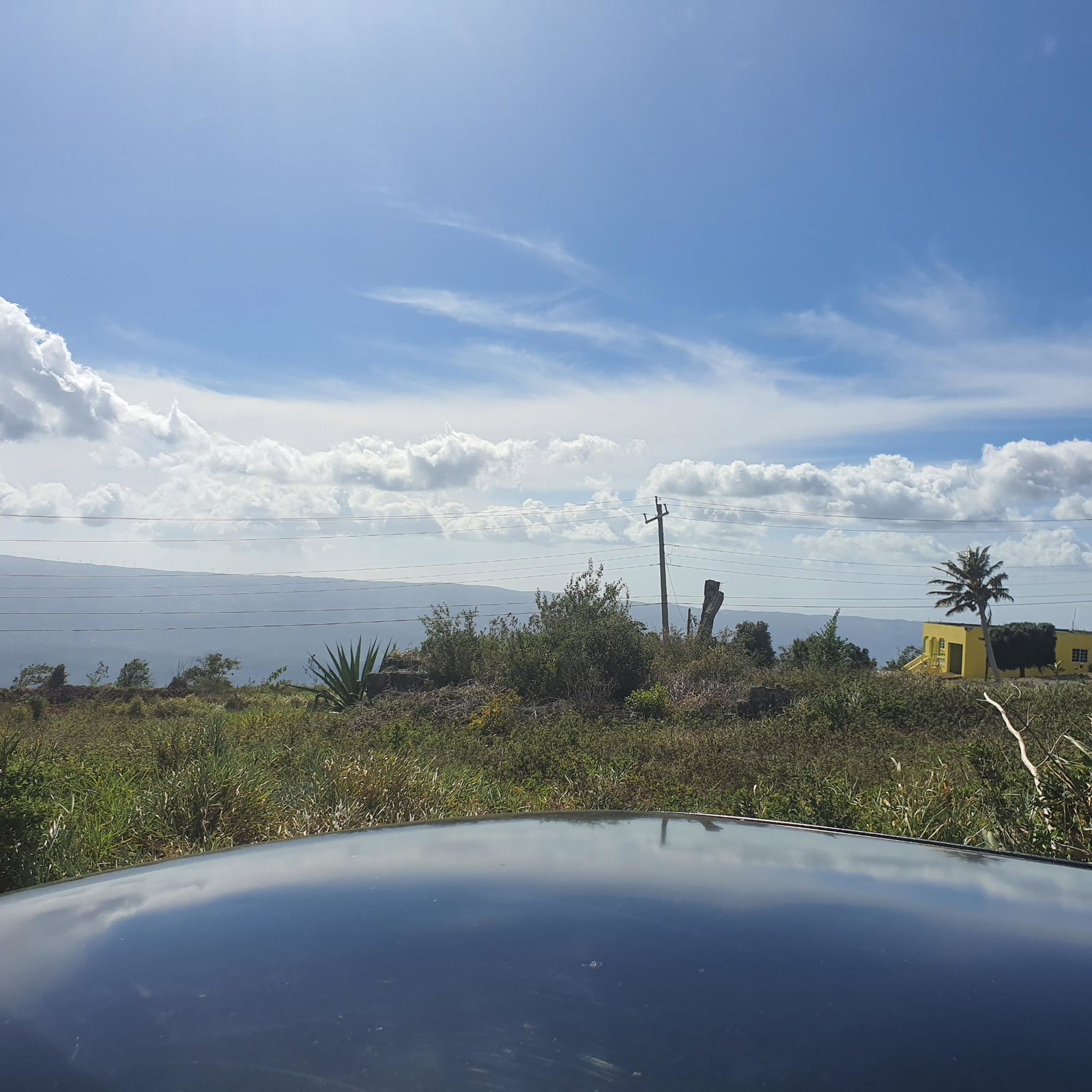 Sixth image of Chatam, Lincoln P.o Mache in Lincoln, Manchester, Jamaica - property is For Sale