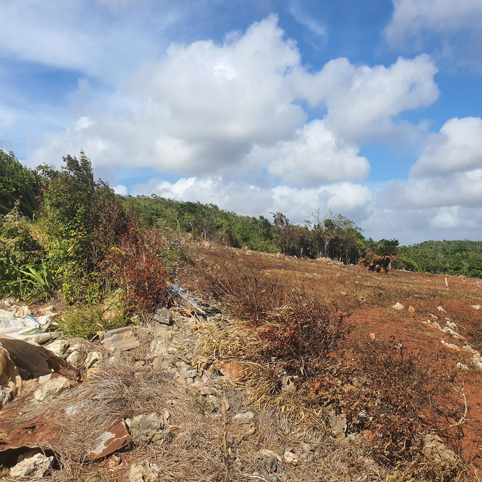Seventh image of Chatam, Lincoln P.o Mache in Lincoln, Manchester, Jamaica - property is For Sale