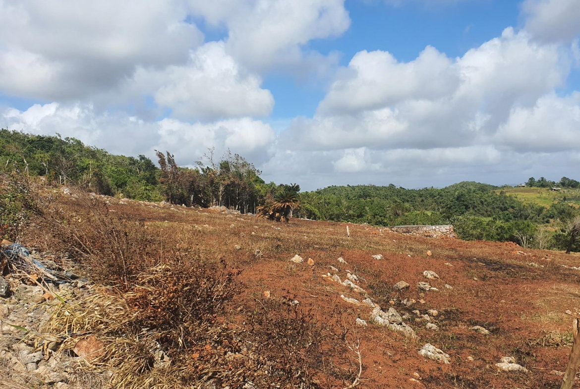 Eighth image of Chatam, Lincoln P.o Mache in Lincoln, Manchester, Jamaica - property is For Sale