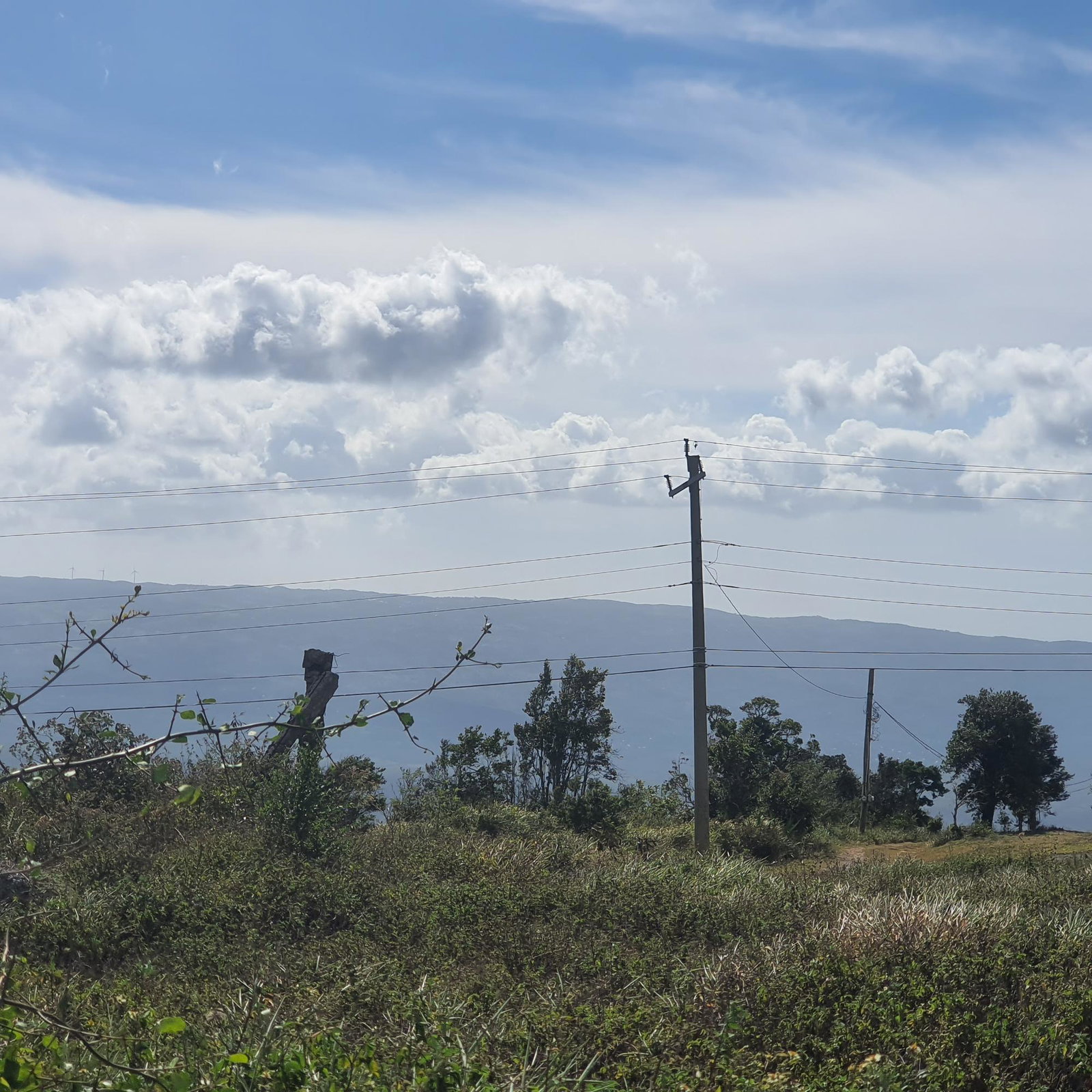 Ninth image of Chatam, Lincoln P.o Mache in Lincoln, Manchester, Jamaica - property is For Sale