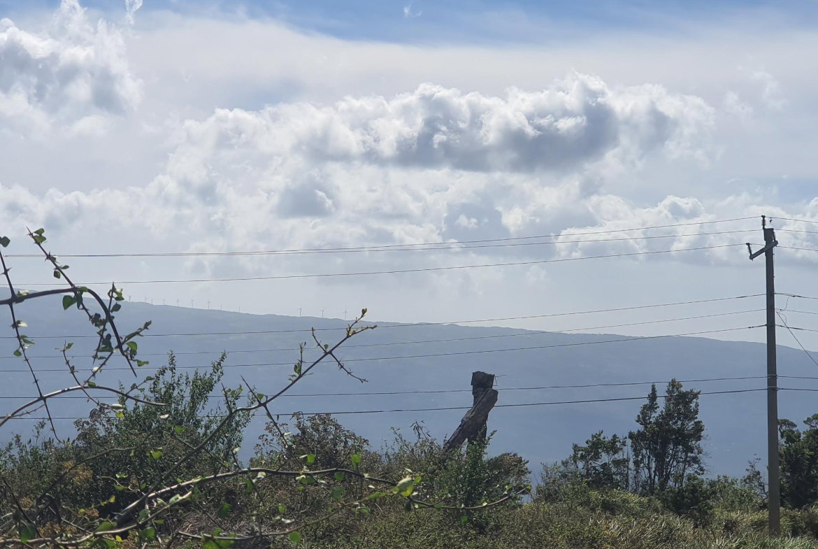 Tenth image of Chatam, Lincoln P.o Mache in Lincoln, Manchester, Jamaica - property is For Sale