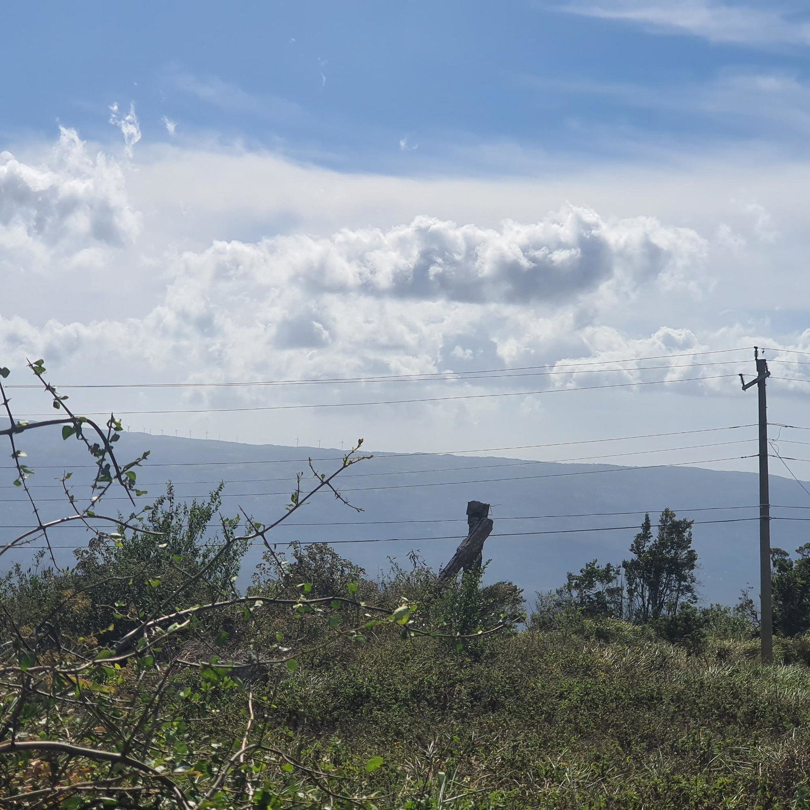 Tenth image of Chatam, Lincoln P.o Mache in Lincoln, Manchester, Jamaica - property is For Sale