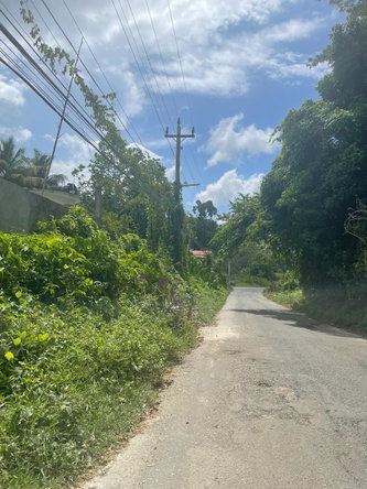 Third image of Lima Estate in Montego Bay, St. James, Jamaica - property is For Sale