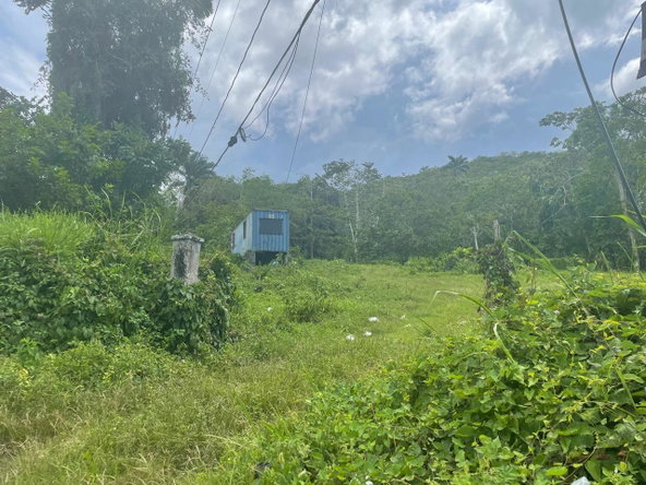 Fourth image of Lima Estate in Montego Bay, St. James, Jamaica - property is For Sale