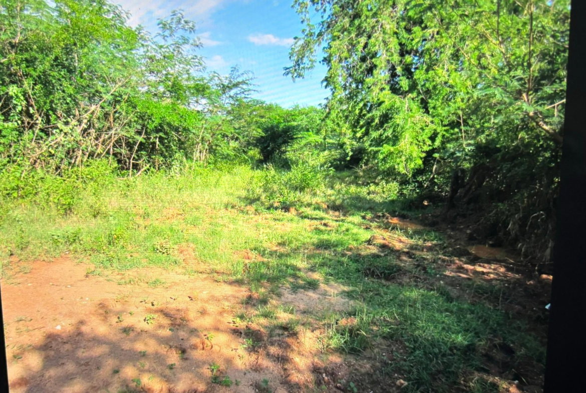 Second image of Lot 12- Green Park, Palmers Cross in Palmers Cross, Clarendon, Jamaica - property is For Sale