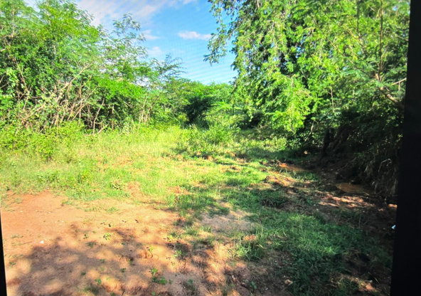 Second image of Lot 12- Green Park, Palmers Cross in Palmers Cross, Clarendon, Jamaica - property is For Sale
