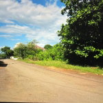 First image of Lot 12- Green Park, Palmers Cross in Palmers Cross, Clarendon, Jamaica - property is For Sale