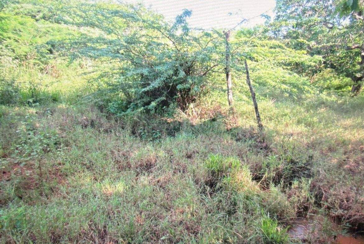 Fourth image of Lot 12- Green Park, Palmers Cross in Palmers Cross, Clarendon, Jamaica - property is For Sale