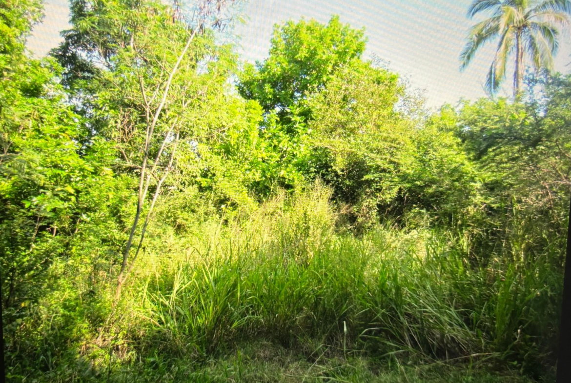 Fifth image of Lot 12- Green Park, Palmers Cross in Palmers Cross, Clarendon, Jamaica - property is For Sale