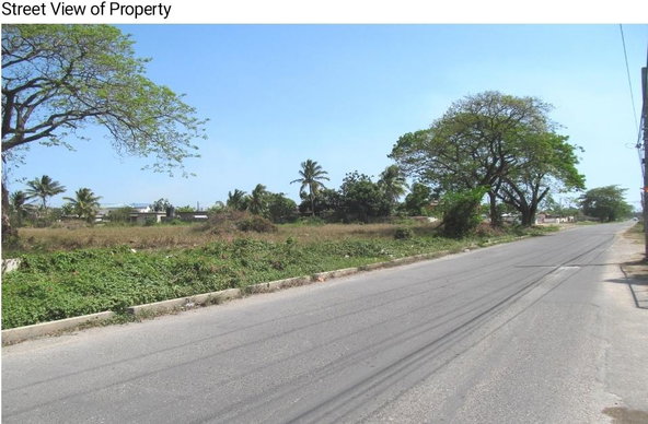 Second image of 0-0 Land Part of Featherbed in Spanish Town, St. Catherine, Jamaica - property is For Sale
