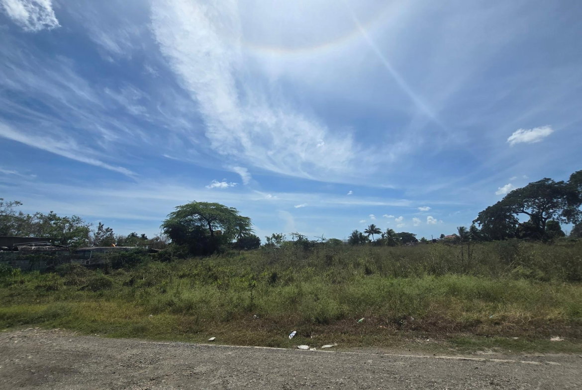 Eleventh image of 0-0 Land Part of Featherbed in Spanish Town, St. Catherine, Jamaica - property is For Sale