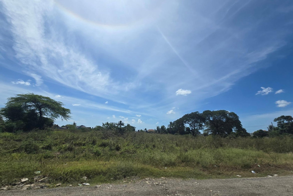 Twelfth image of 0-0 Land Part of Featherbed in Spanish Town, St. Catherine, Jamaica - property is For Sale