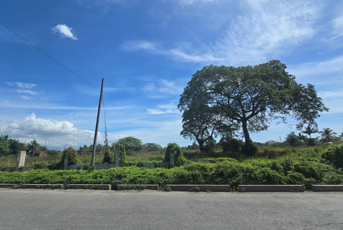 Fourth image of 0-0 Land Part of Featherbed in Spanish Town, St. Catherine, Jamaica - property is For Sale