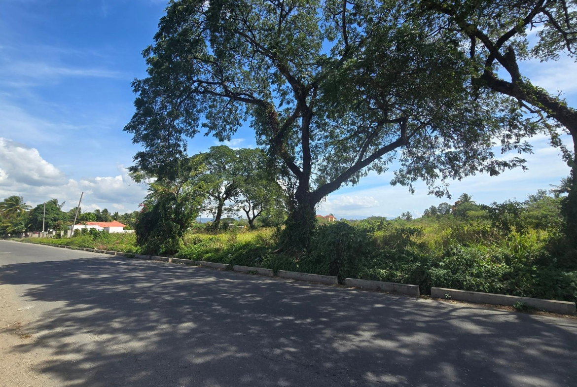 Fifth image of 0-0 Land Part of Featherbed in Spanish Town, St. Catherine, Jamaica - property is For Sale