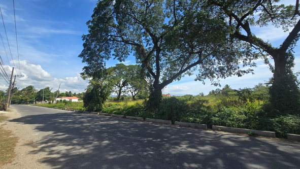 Fifth image of 0-0 Land Part of Featherbed in Spanish Town, St. Catherine, Jamaica - property is For Sale