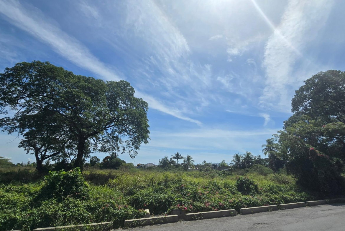 Seventh image of 0-0 Land Part of Featherbed in Spanish Town, St. Catherine, Jamaica - property is For Sale